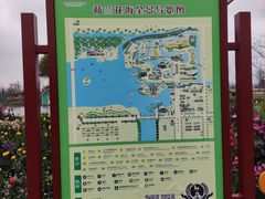 -荷兰花海