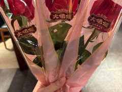 -大鸽饭(动物园店)