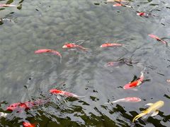 -泸州老窖景区