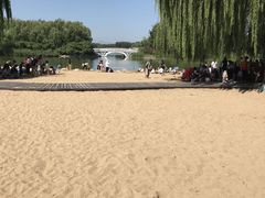 -大兴滨河森林公园