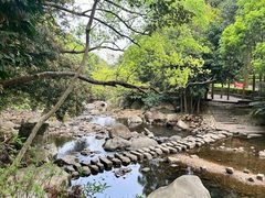 -福清灵石山国家森林公园