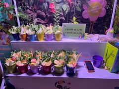 -正佳雨林生态植物园