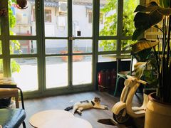 -小时光咖啡馆(北锣鼓巷店)