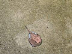 -欢乐海岸海洋奇梦馆