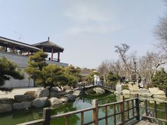 -中国唐苑