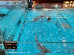 -艳阳天·非遗楚菜(武汉客厅店)