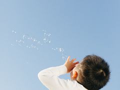 -花博汇(知音花月夜)