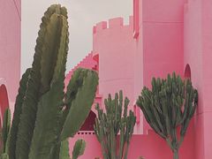 -漳州滨海火山岛自然生态风景区