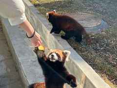 -水上乐园·欢乐世界