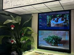 -芸山季·云南山珍菌火锅(南翔印象城MEGA店)