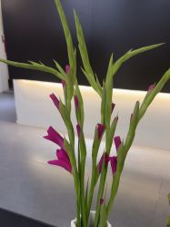 -春田皮肤管理中心品牌旗舰店