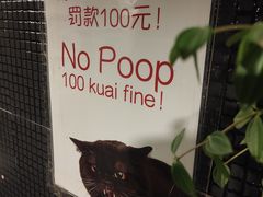 -萨尔瓦多Salvador's