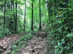 -青城山