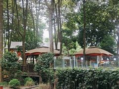 -二荆条·蜀鲜汇城市森林火锅