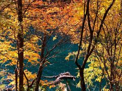 -叠溪松坪沟景区