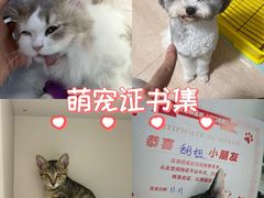 -御宝贝24h宠物医院·转诊中心·CT核磁血透中心(厦门总院)