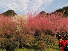 -贵阳市花溪国家城市湿地公园