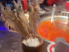 -辣伍鲜毛肚老火锅(元一店)