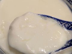 招牌姜撞奶-捷信牛奶甜品世家(五道口店)