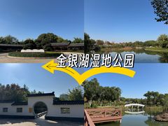 -金银湖国家城市湿地公园