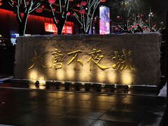 -大唐不夜城