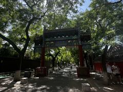 -北京国子监胡同