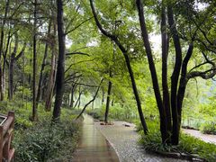-广州市石门国家森林公园