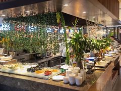 -齐河孔雀王温泉酒店·金孔雀自助百汇