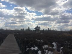 -北药泉