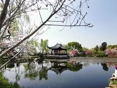 -无锡蠡湖国家湿地公园-蠡园
