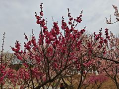 -七桥瓮公园
