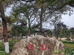 -江心屿景区