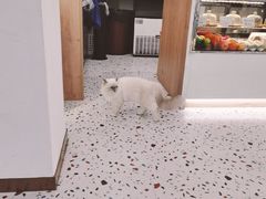 -FULL MOON满月咖啡