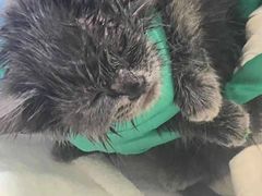 -惠康宠物医院(华能路店)