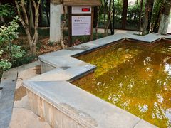 -张家港金凤凰度假村温泉