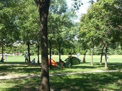 android_upload_pic-泰丰公园