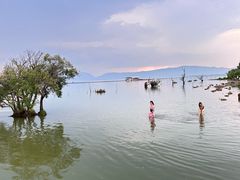 -呈贡滇池生态湿地公园