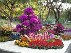 -广州市白云山风景名胜区