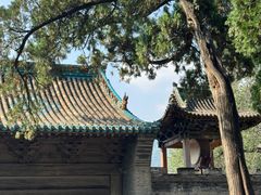 -窦大夫祠