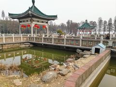 -东湖落雁景区