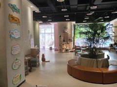 大堂-藏猫猫咖啡主题馆(中央大道店)