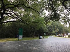 -菊花台公园
