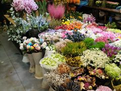 -双季花艺园艺市场(浦东店)