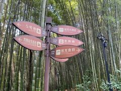 -梅州天地人花园酒店(梅县人民广场店)