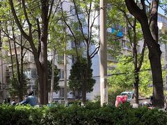 -芍药居北里