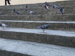 -圣母百花圣殿