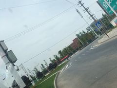-枫林花海