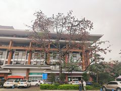 -南宁南湖公园