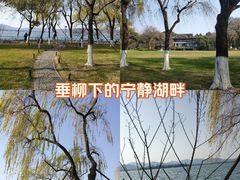 -柳浪闻莺公园
