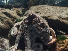 -鹿儿岛水族馆